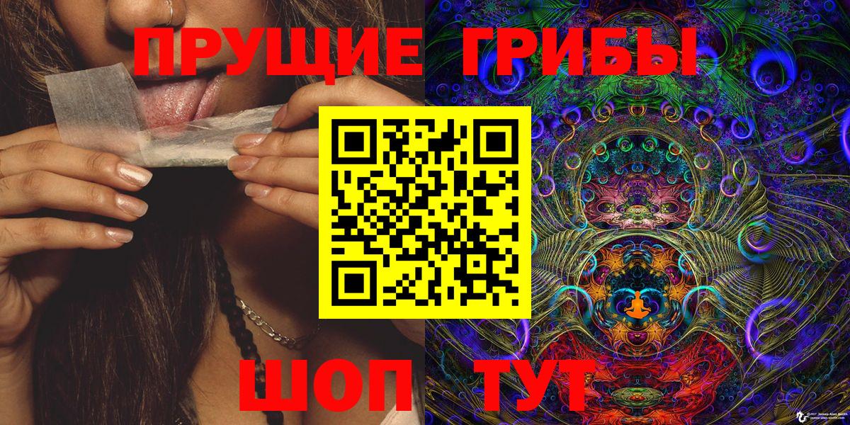 Псилоцибиновые грибы Psilocybe Нижнекамск