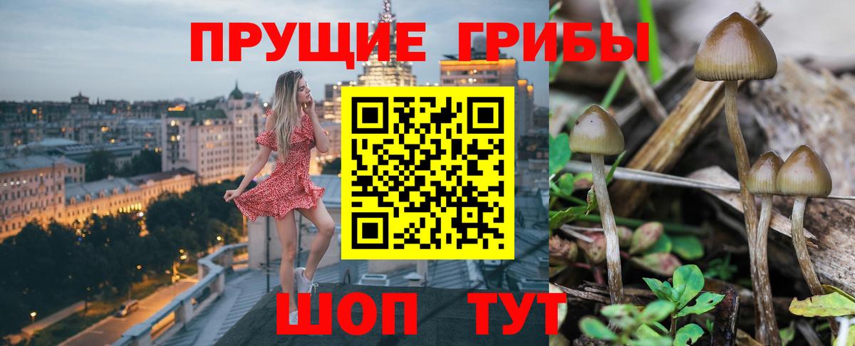 Галлюциногенные грибы ЛСД  Вход с VPN  Нижнекамск 